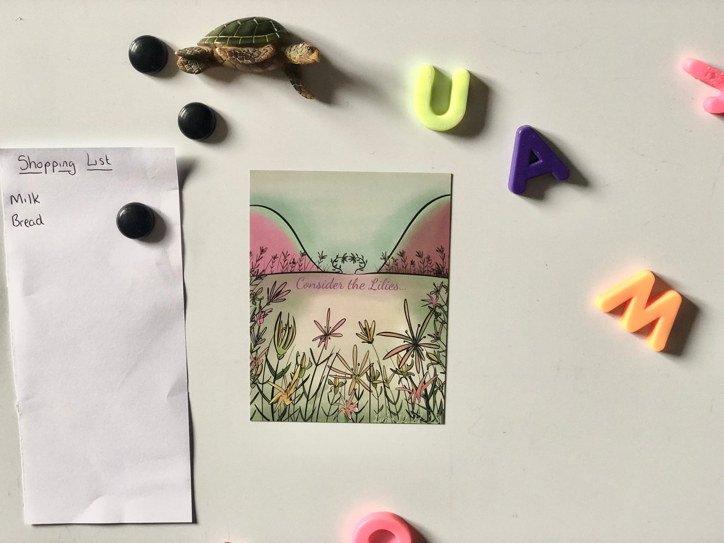 Magnet - Consider the Lilies (Daytime) - Hand Drawn Artwork